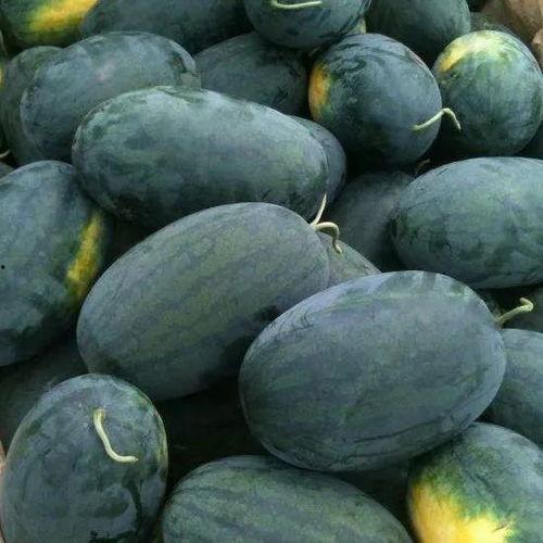 高校黑料吃瓜群,吃瓜群里的校园风云录